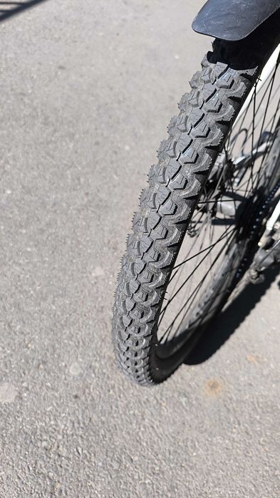 Electric Bycycle Bafang