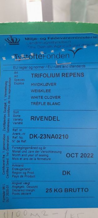 Chim gazon ekish. Oq beda dekorativ klever urug'lari. Urug' ekish chim