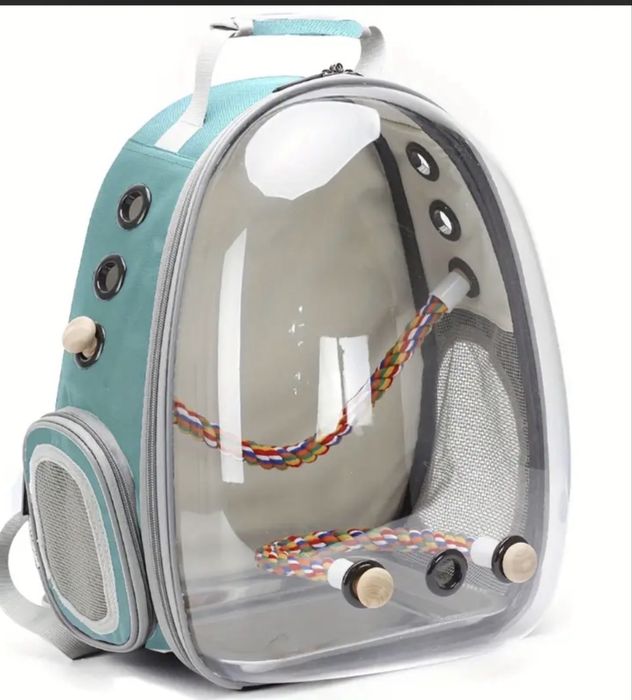 Попугай девочка со всем что надо