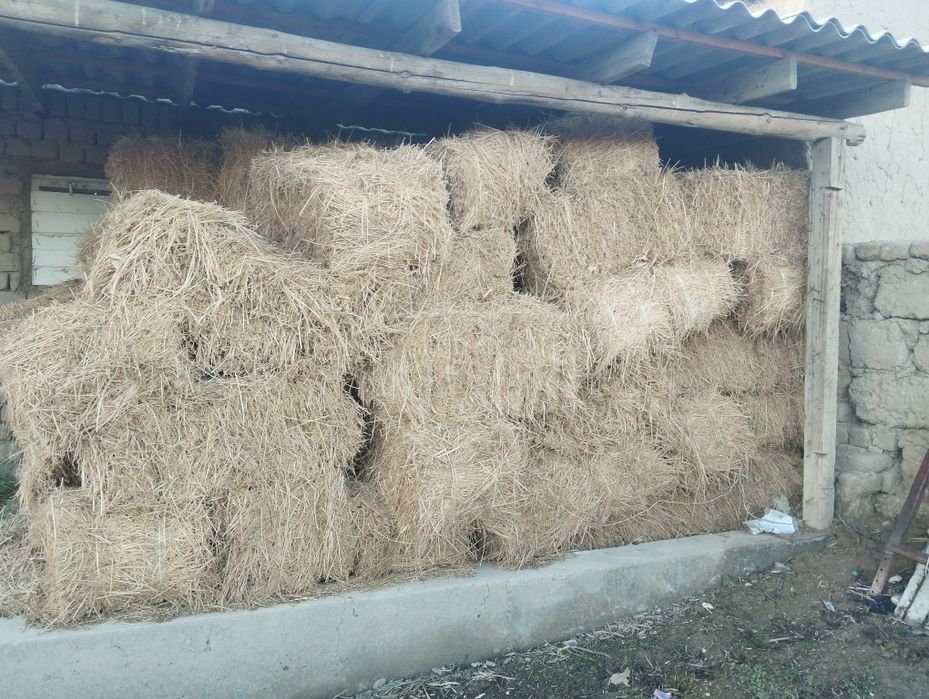 Жоңышқа прес бар