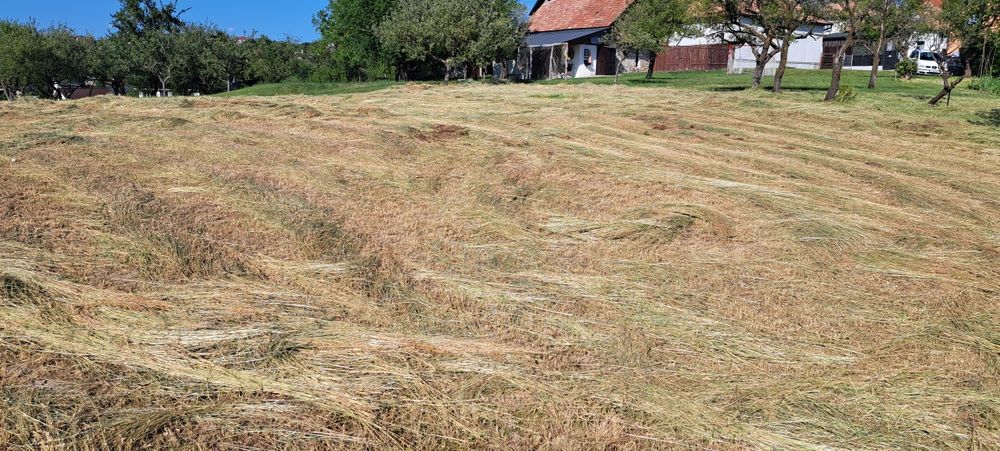 Teren intravilan 2100 mp Feleacu