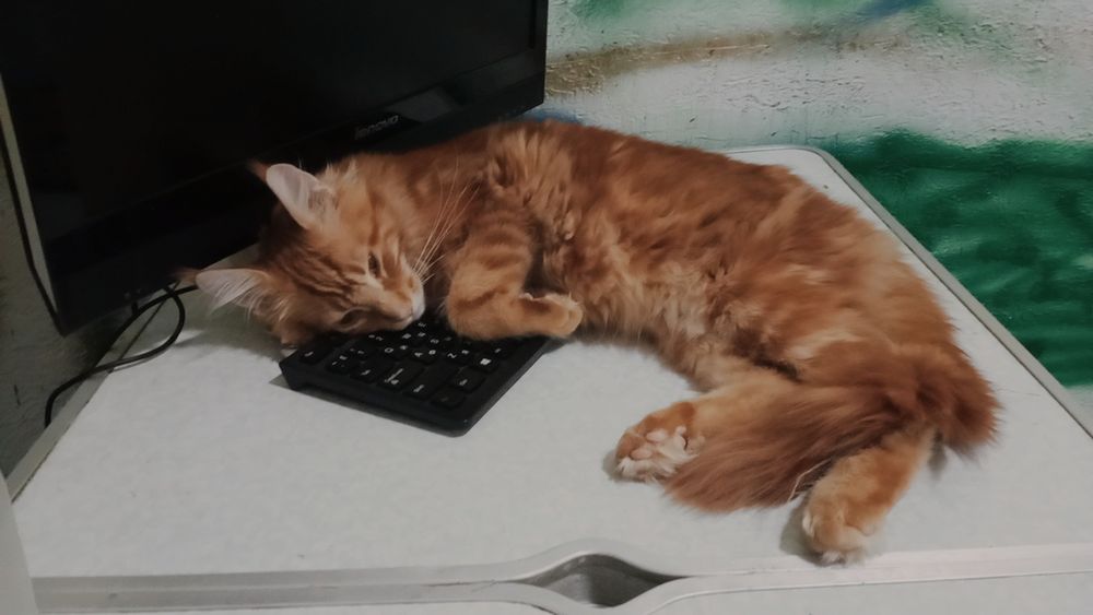 Обмен на велосипед писать в олх