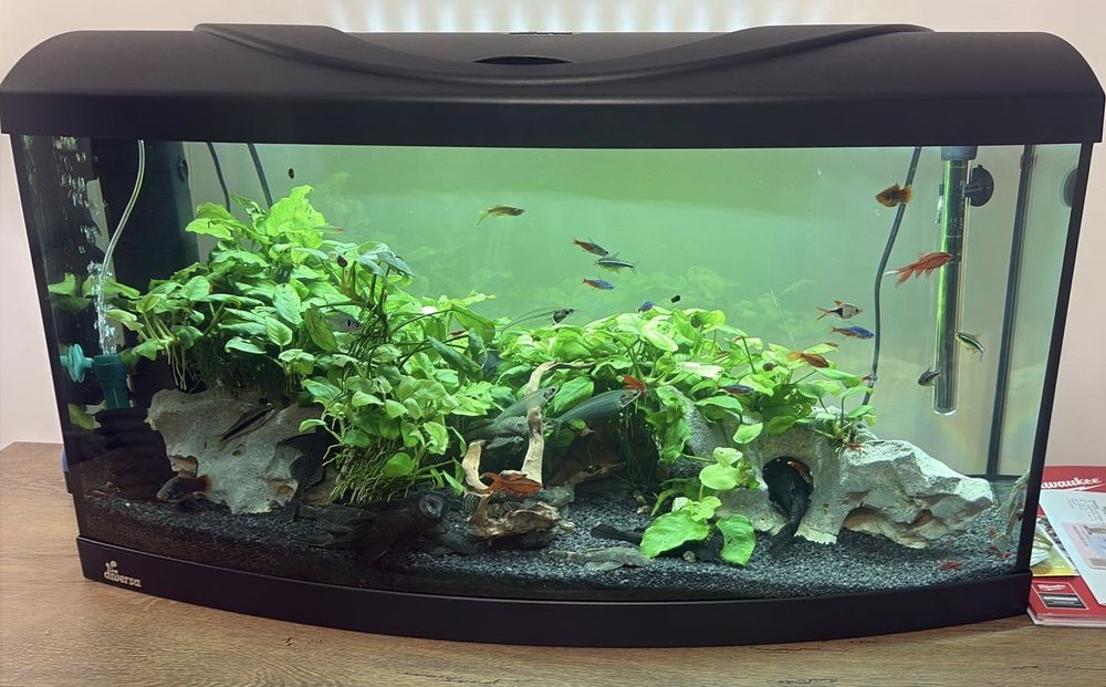 Vând acvariu 112 litri curbat complet utilat