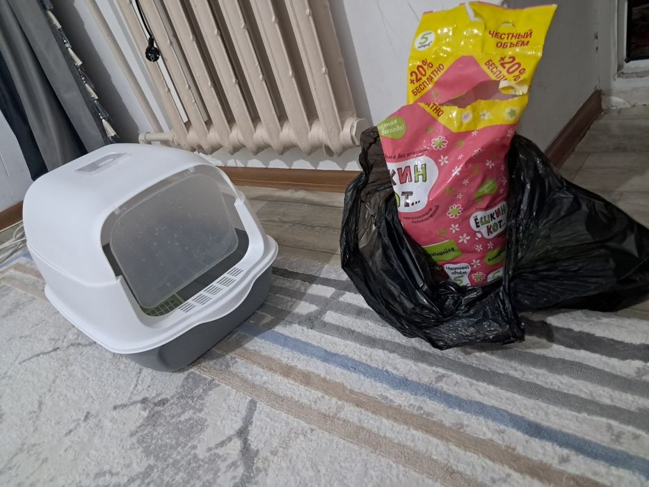 Мысықтың гаршогі топырағымен