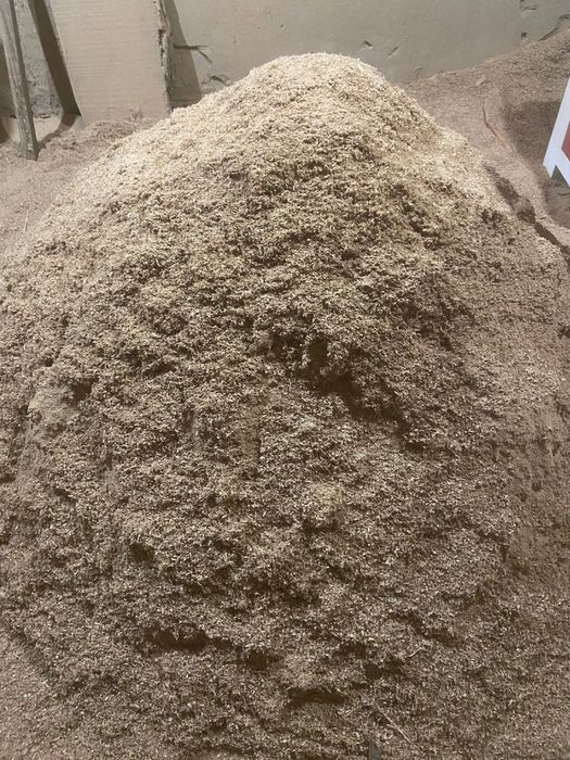 Апелка кебу қара ағаштың