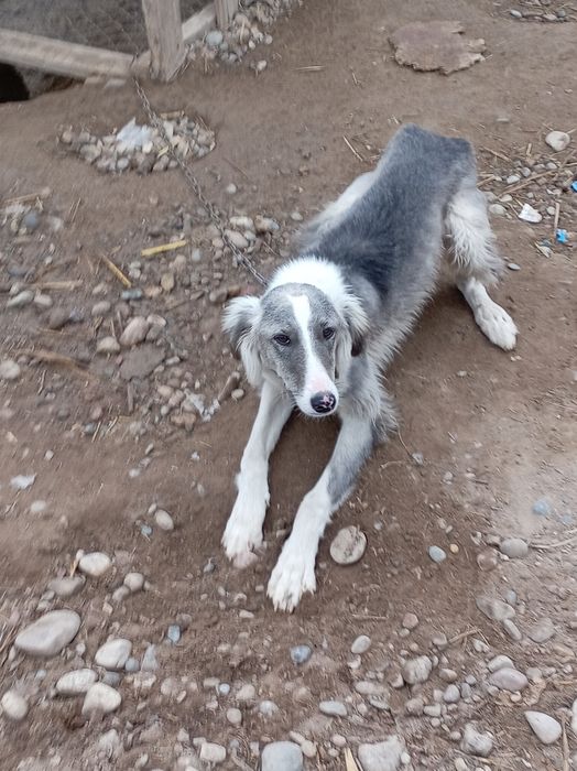 Тазы кушиккккккк