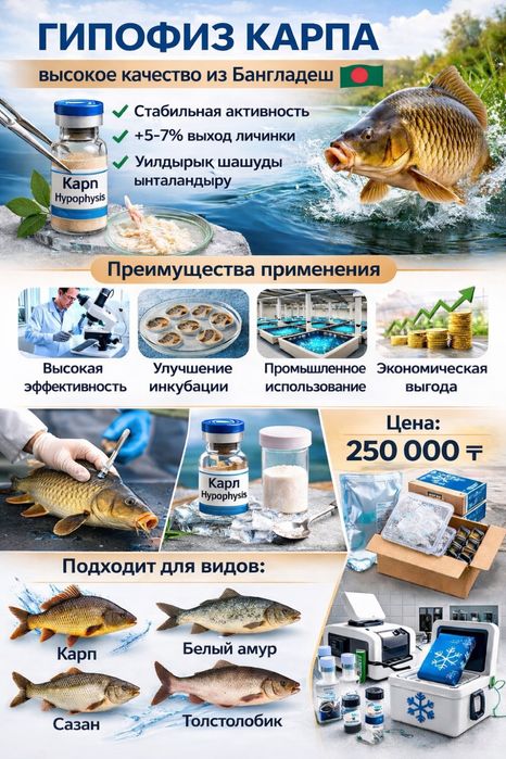 Гипофиз для карповых видов рыб