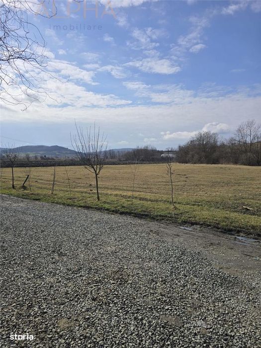 Afacere La Cheie – Hala Productie + Sera Profesionala