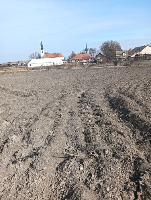 Vând      grădină