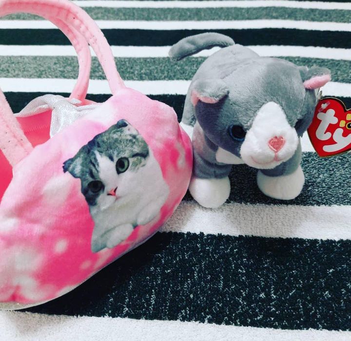 Мягкие игрушки сумочкой