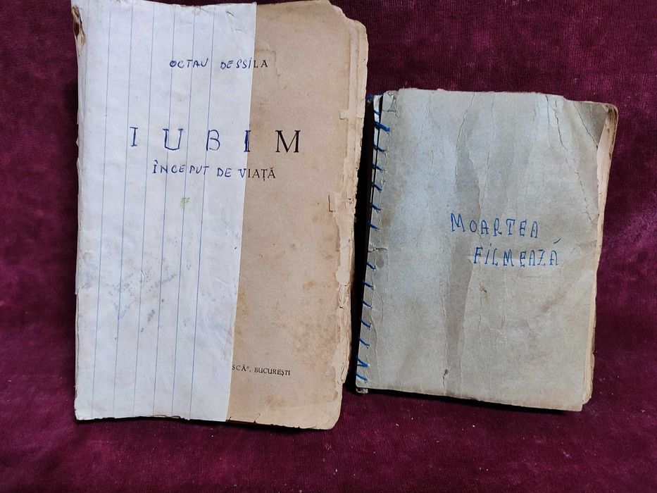 Romane din perioada interbelica/antecomunista