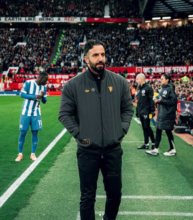 Adidas Manchester United Terrace Icons Jacket