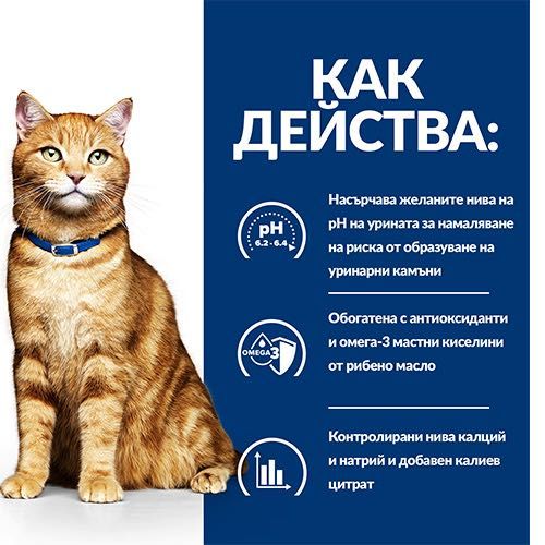 1 кг. Hill’s c/d Multicare