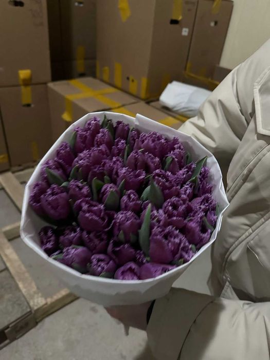 Тюльпаны оптом Костанай