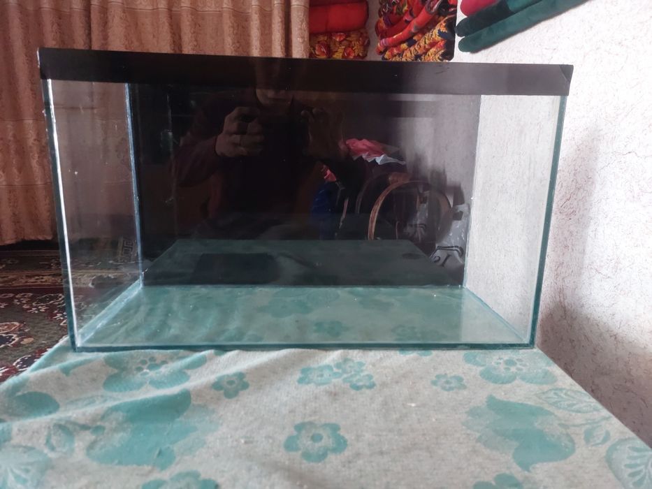 Akvaryum sotiladi 55litr