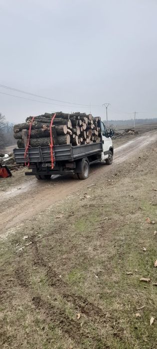 Lemne de vânzare Județul Arad