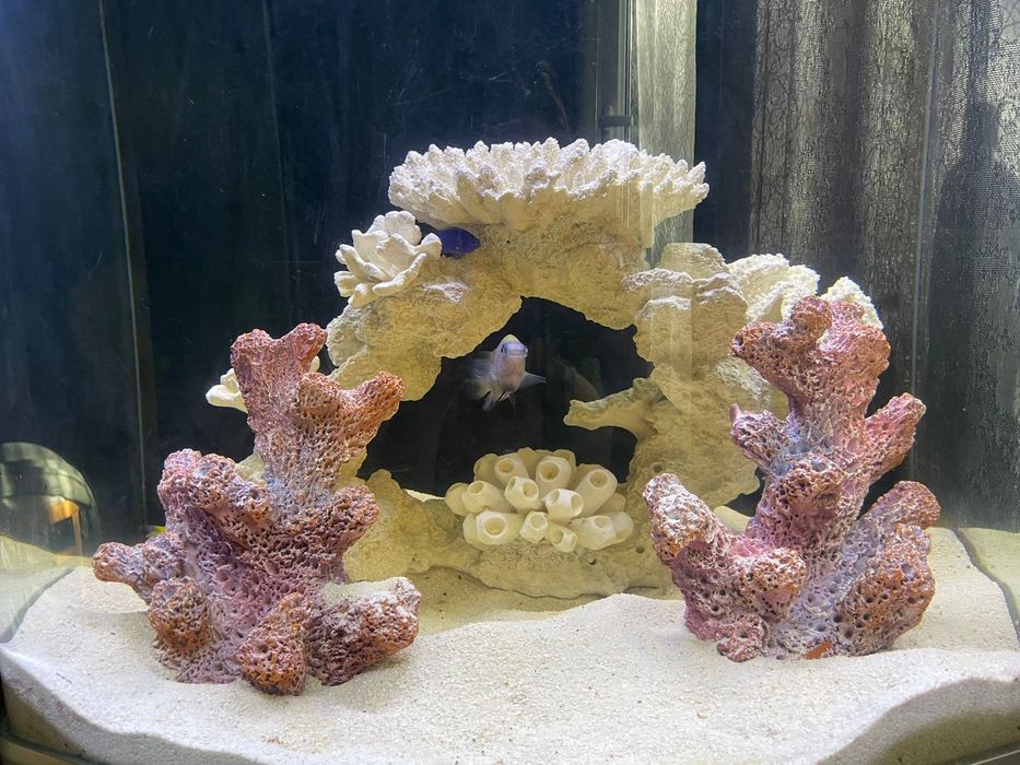 В морской аквариум  90 л