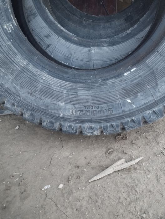 Жағдаиы жақсы 2 аи тағылған