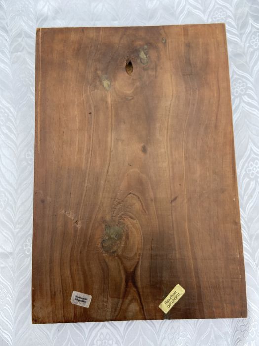 Basorelief lemn masiv , 39/27 cm