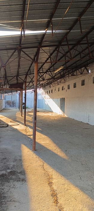 Дава се под наем Промишлена сграда в с. Мариновци, Област Велико Търново - 40 кв.м за 102 € - Снимка #10