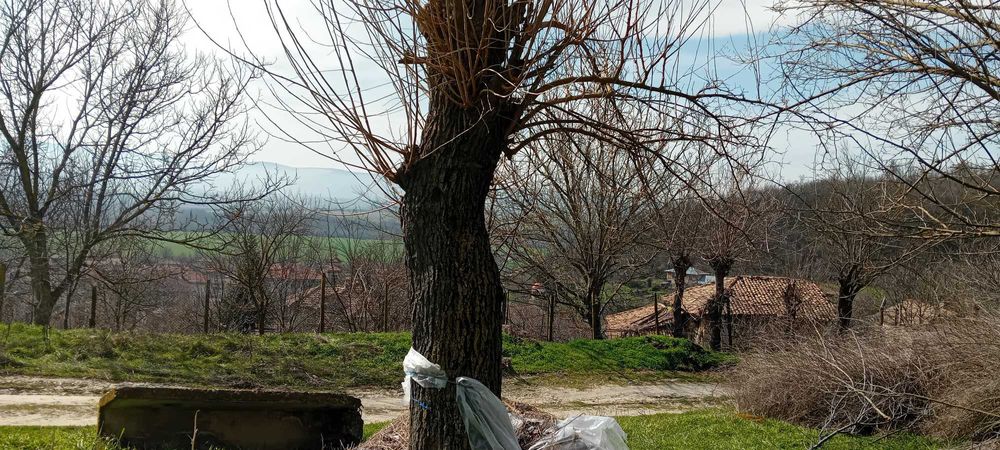 Продава се Парцел в Варна, Базар Левски - 1957 кв.м за 7 €/кв.м - Снимка #1