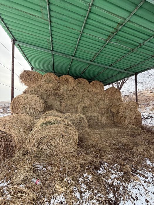 Клевер жонышка рулон