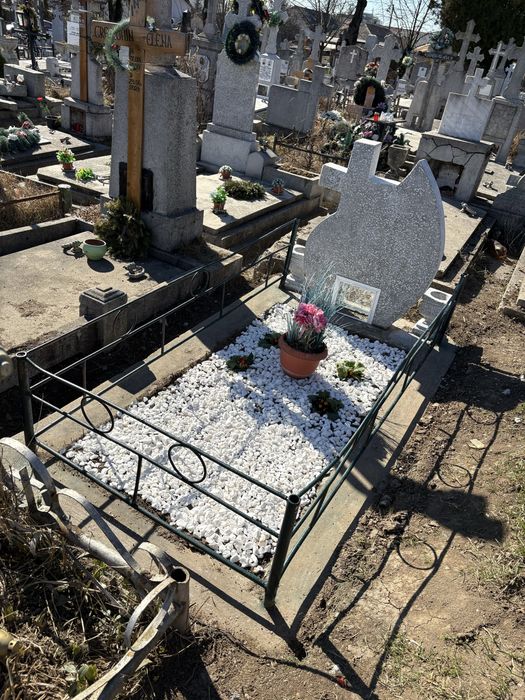 Loc de veci / Cimitir Eternitatea (aleea principală).