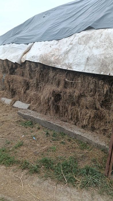 Baloți fan,10 lei,suceava