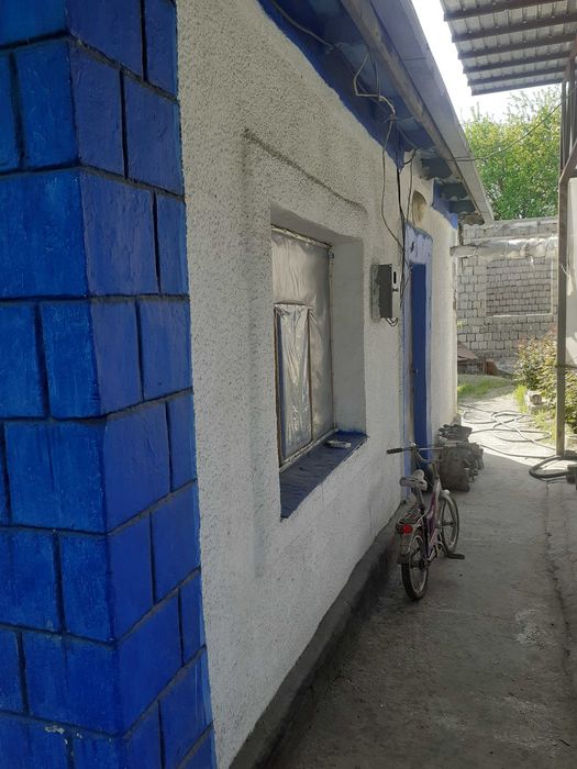 провнастил 16500