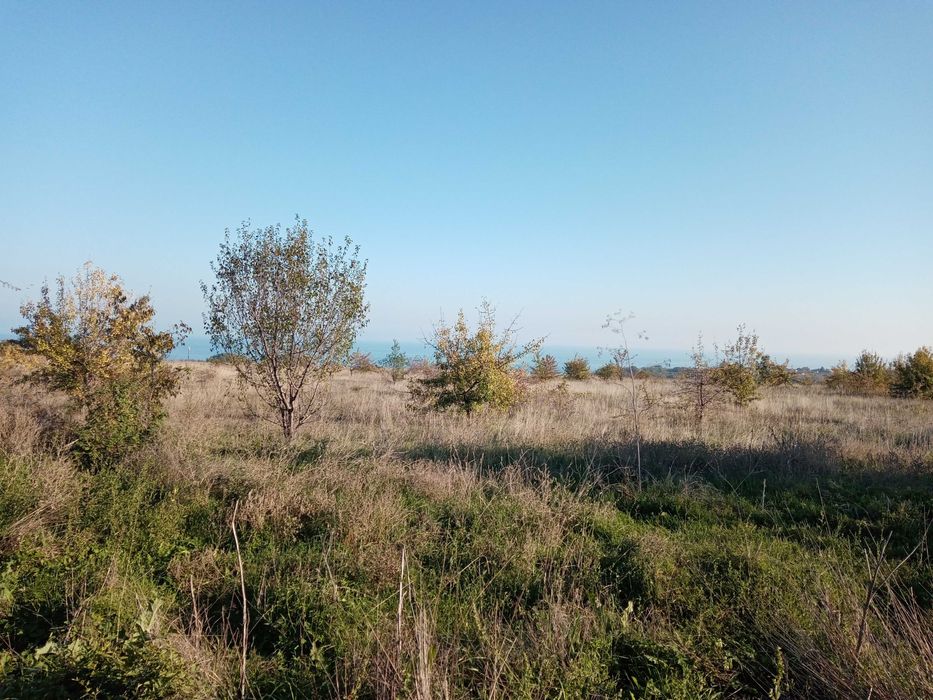 Продава се Парцел в Варна, Аспарухово - 3710 кв.м за 45 €/кв.м - Снимка #1