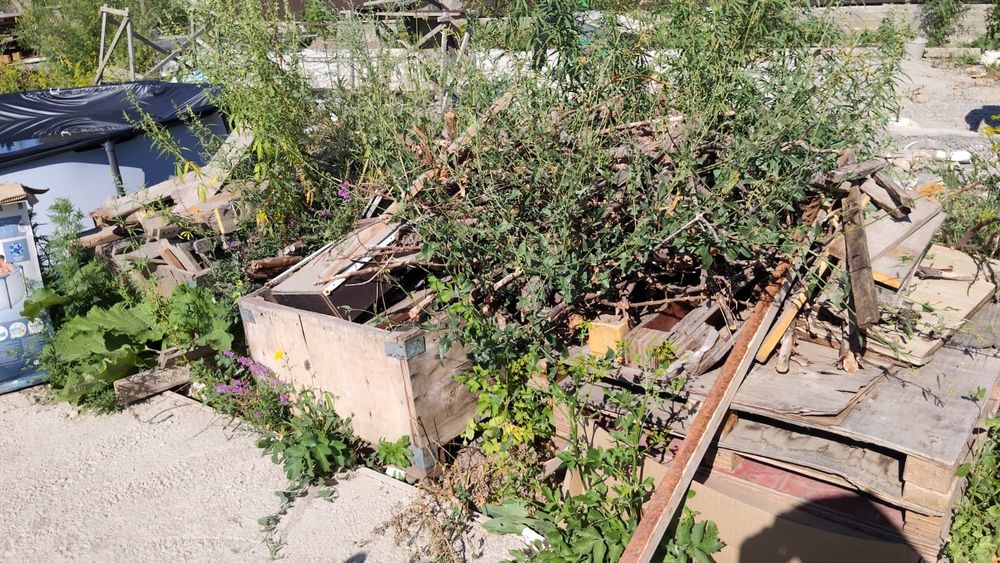 Дрова отын самовывоз