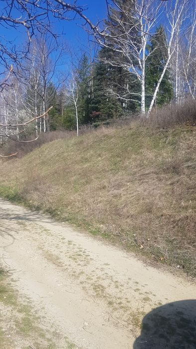 Продава се Парцел в Дупница - 1050 кв.м за 12 €/кв.м - Снимка #2