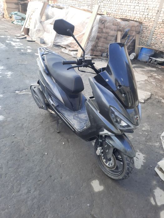 Tigr skuter Sotiladi