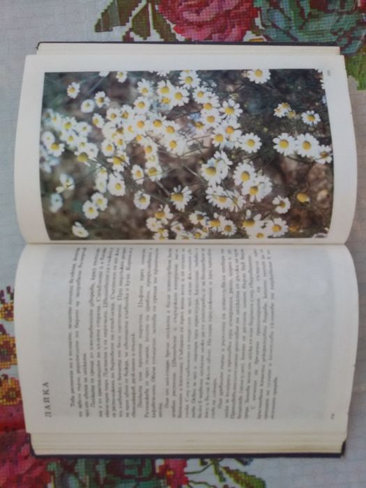 Албум за Растения и Животни - София 1976