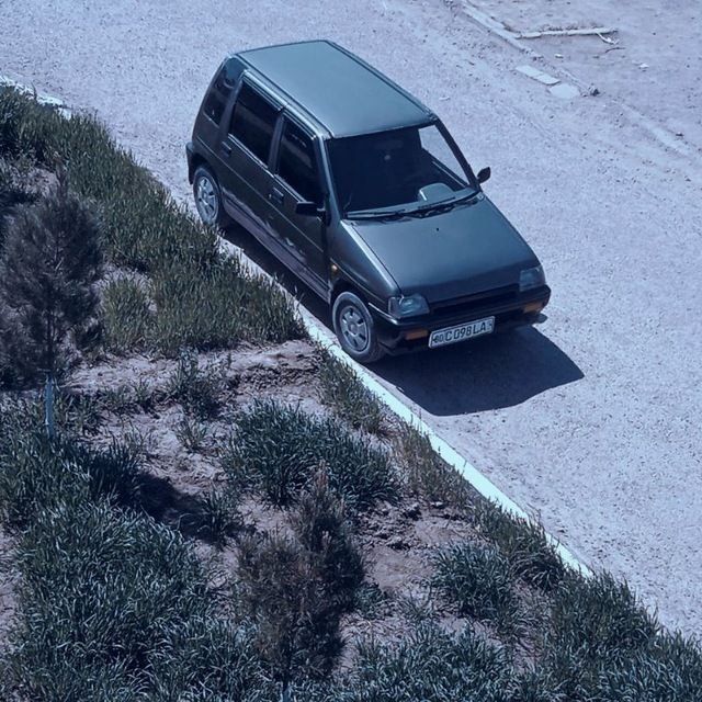 Tico. Sotiladi.  Zor. Holatda