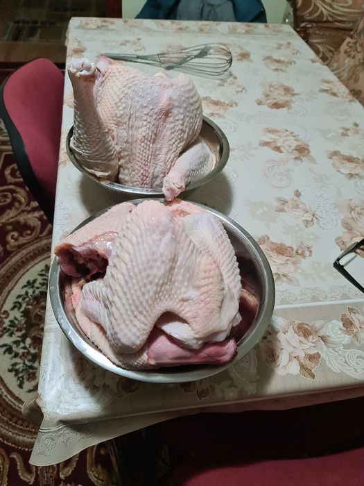 Curcani și curci albe rasă grea