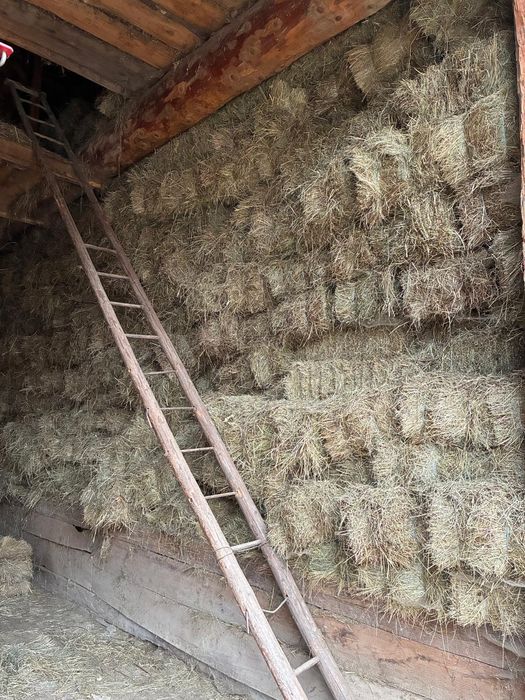 De vanzare baloti fan lucerna paie neplouat 2025