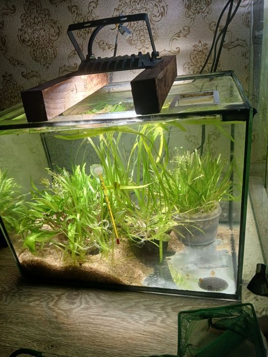 Аквариум 60 л в комплекте всё включено