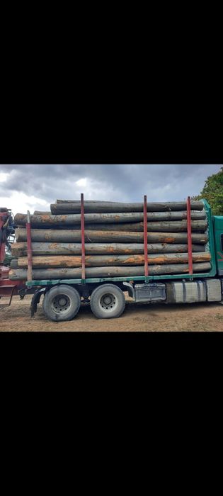 Lemn pentru foc(fag)