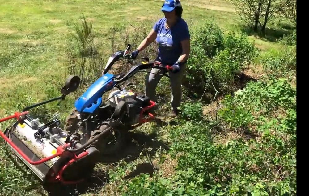 Lucrari de întreținere și amenajare spatii verzi