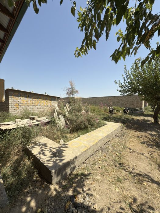 Mirzaobod arzon narxda yer