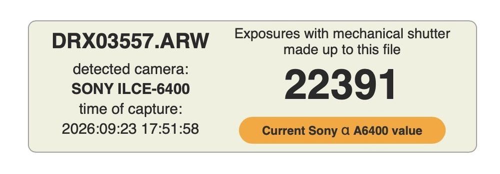 Camera Sony a6400 + obiectiv Sony 16-50 OSS + cage