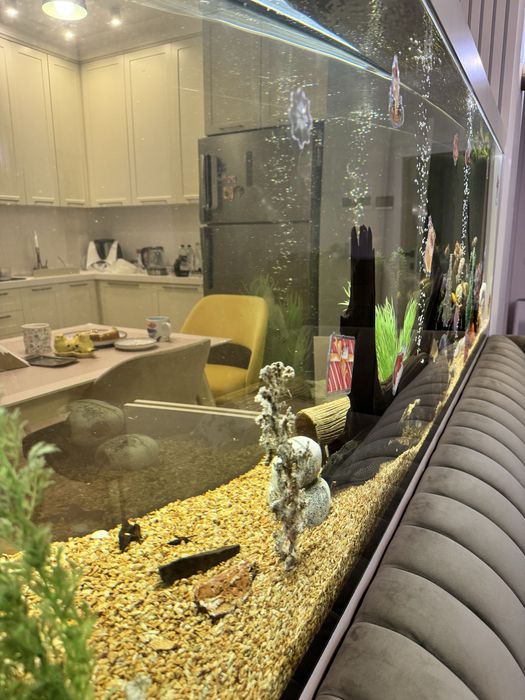 Аквариум премиум с подставкой и рыбками