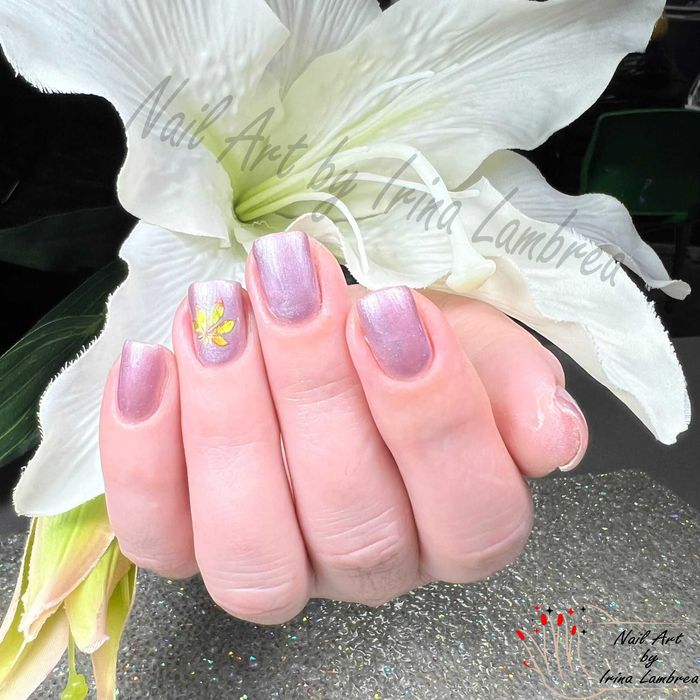 Unghii cu gel/unghii semi / semi cu apex în Ploiesti, zona centrala