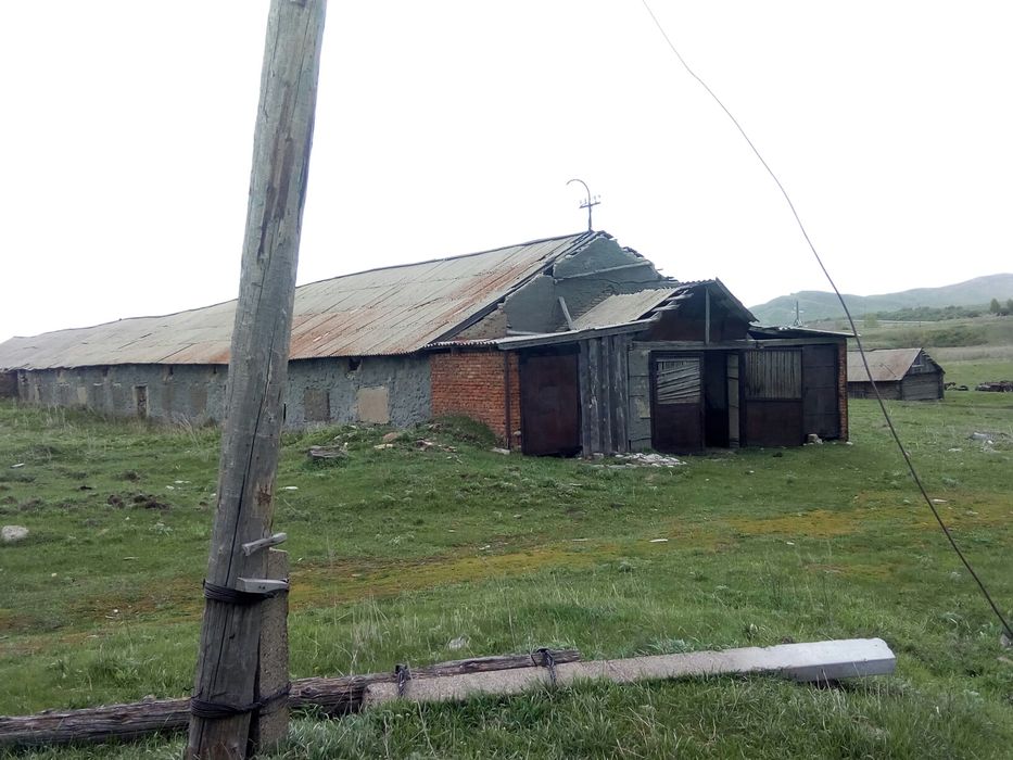 Продам дворы сСекисовка