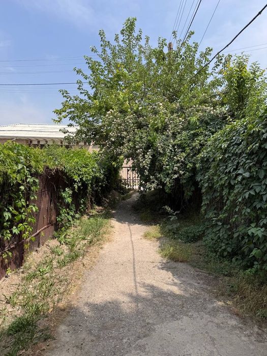 Дача в Паркенте! 7 соток