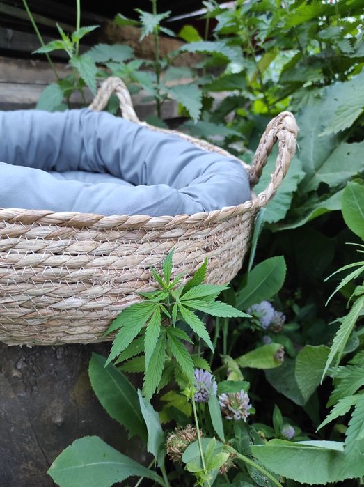 Лежанка для животных