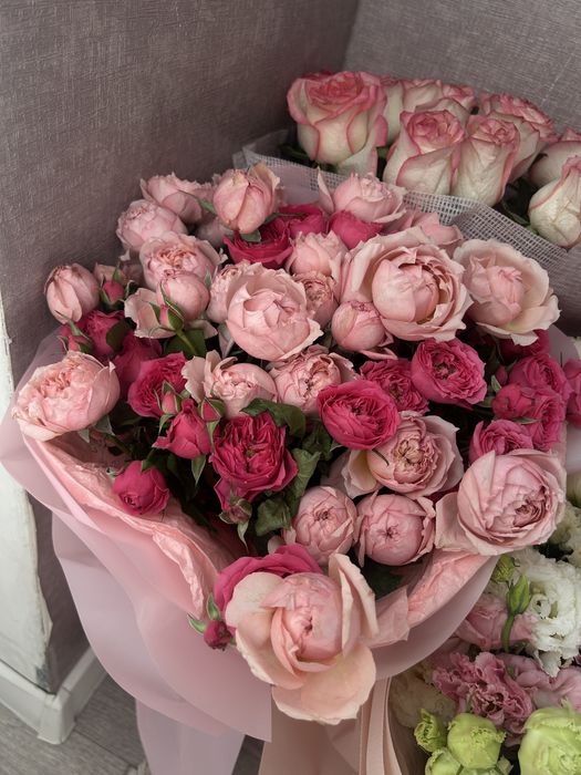 Продам пионы дешево