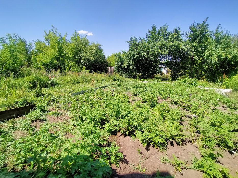 Продаю дача на павладарском трассе