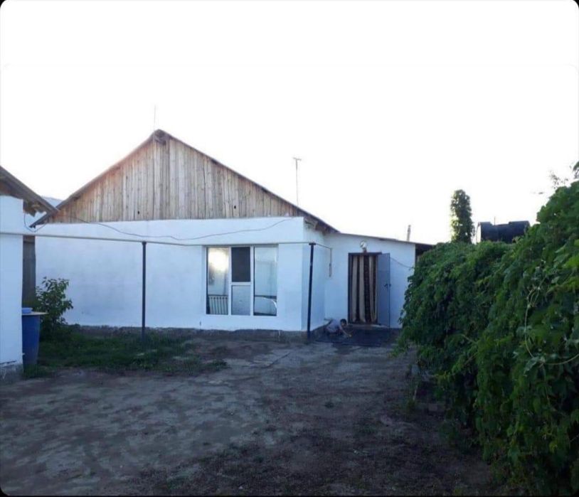 Дом с бизнесом